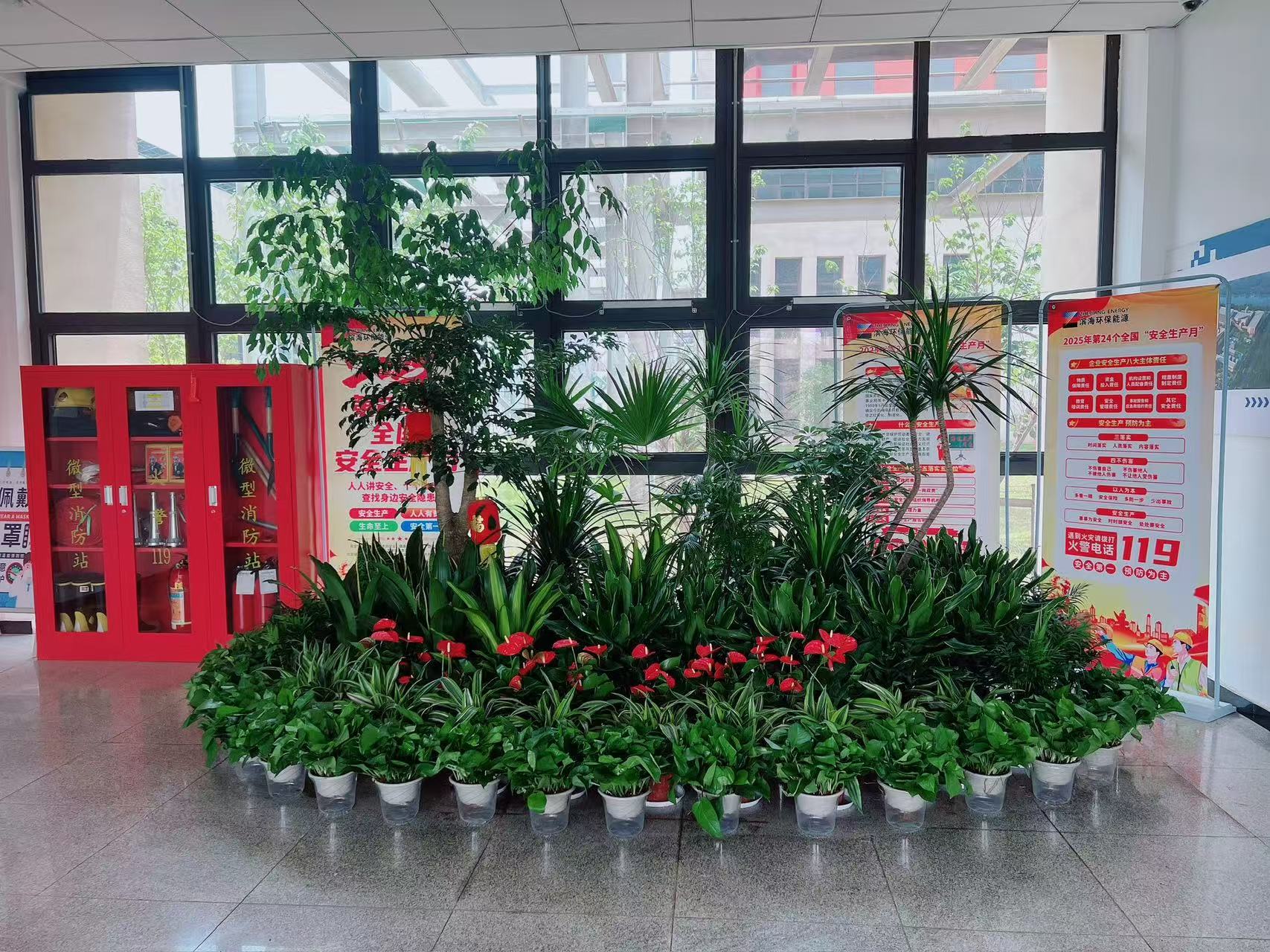 鄞州植物租摆设计，为空间注入生机与自然之美！